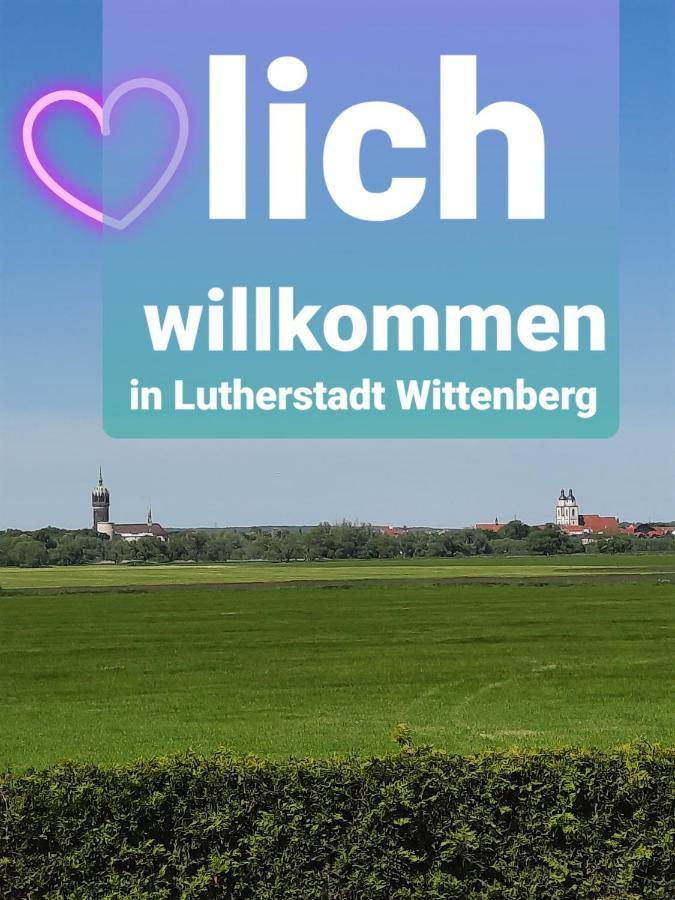 Ferienwohnung Mit Elbwiesenblick Wittenberg Eksteriør billede